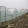 Modern appearance large operation space multi span agricultural greenhouse