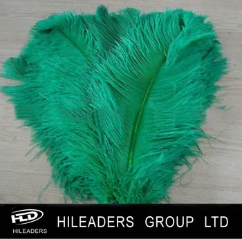 Rt256 Decorative Costume Clothing Ostrich Feather Wholesale