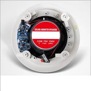 20W Coaxial Ceiling Bluetooth Speaker