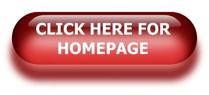 back-to-homepage-button-home-button-te.jpg
