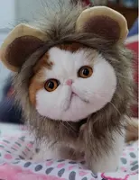 

Cat Costume Funny Lion Mane Wig for Party Dress Up Small Dogs with Bell Charm Hat