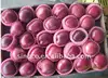 Red Delicious Apple Fruit/Huaniu Apple