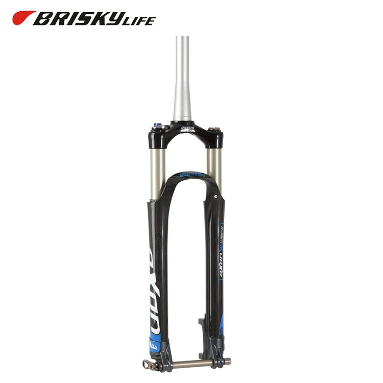 bike suspension forks