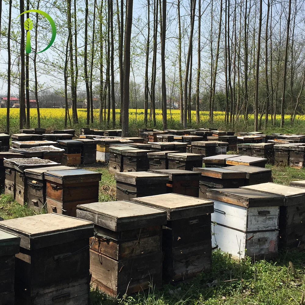 
Honey Syrup For 1KG bottle 