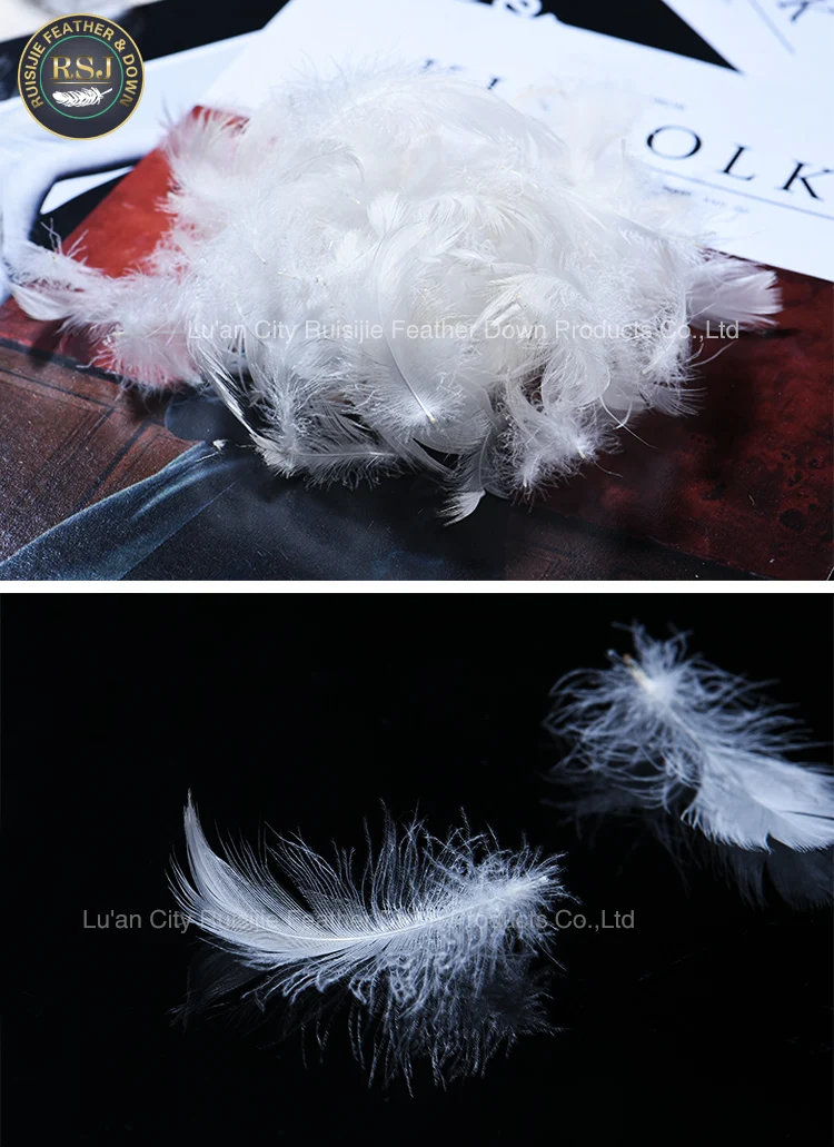The Best China Goose Feather Down For Jacket From Ruisijie In Hefei
