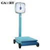 Camry FD-500kg range 200kg/300kg/500kg Single or Double dials Iron spring balance weighing commercial two dials platform scale