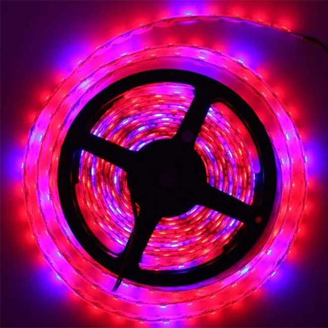 red blue  5050 grow led strip light for plant growth