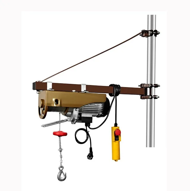 Indoor Or Outdoor Hoist 12v Dc Small Electric Hoist Winch Crane With