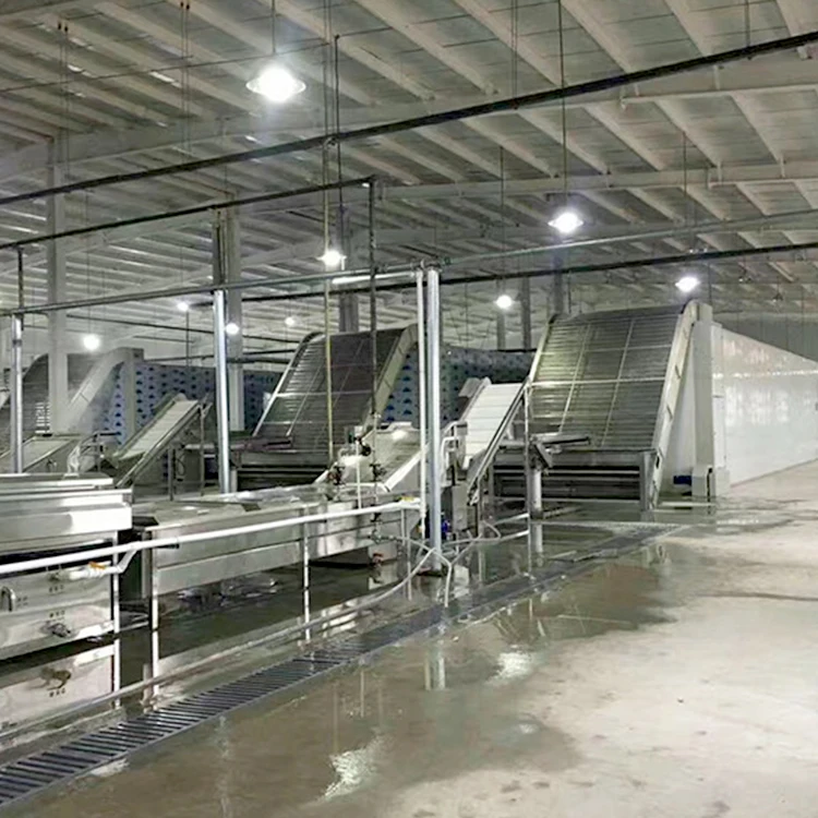 
Fruit vacuum freeze drying machine food dehydrator drying oven vacuum freeze dryer 