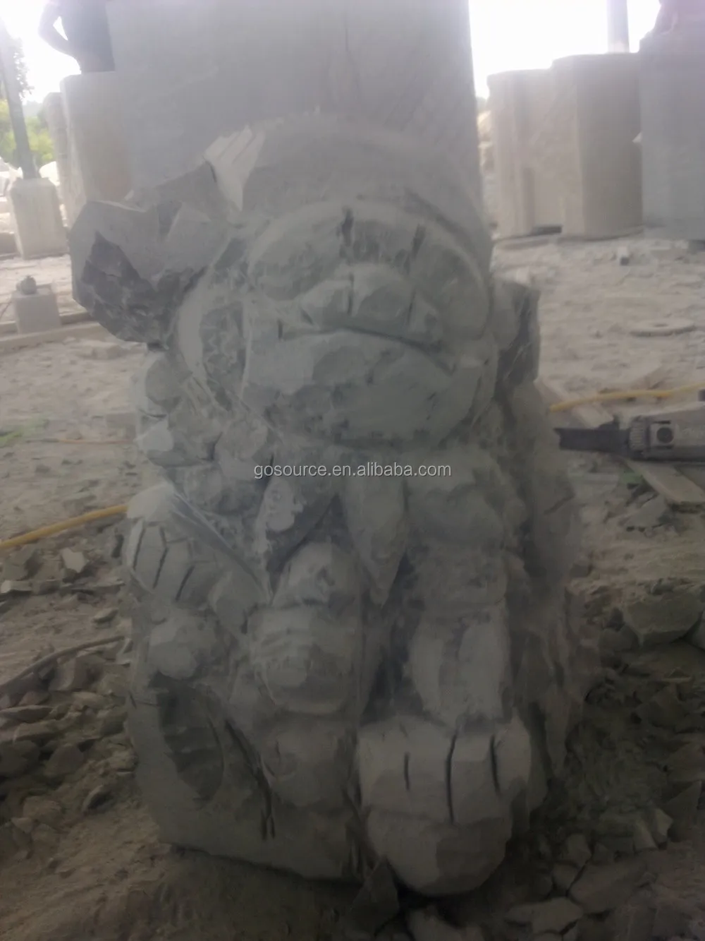 First Pic of Lions.JPG