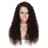 

Cuticle aligned italy curly hair transparent lace front wig vendors