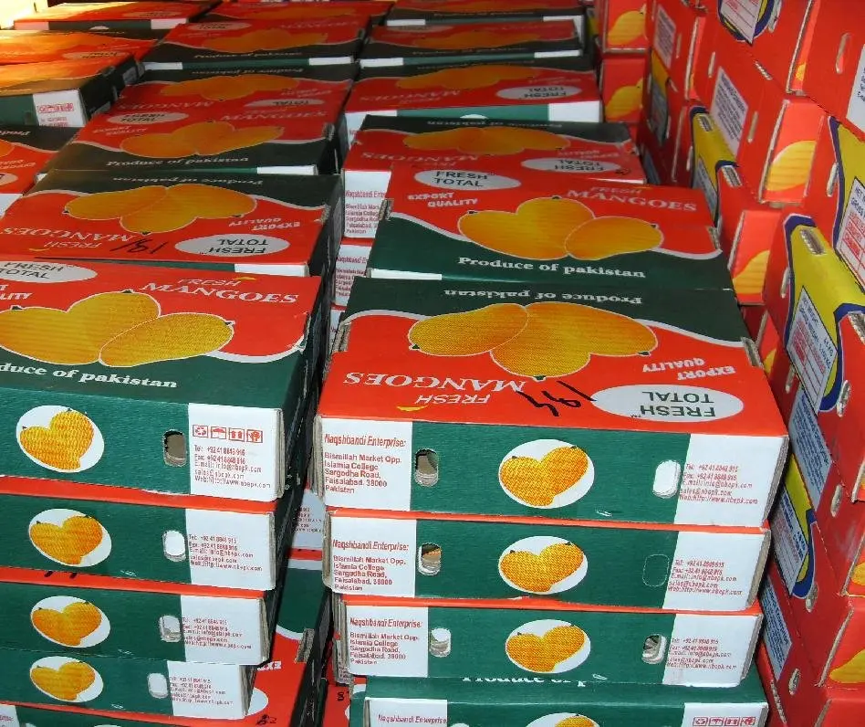 
Mango Sindhri, Fresh Mango from Pakistan 