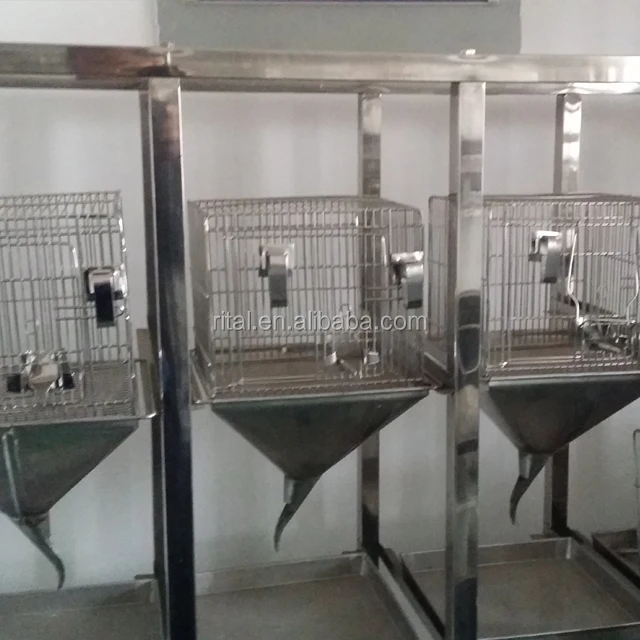 laboratory rat cages