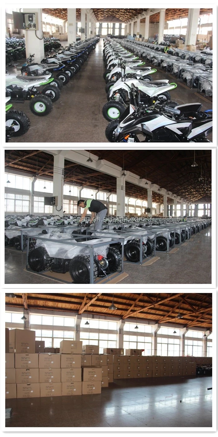 new 36V 1000W ATV (3)