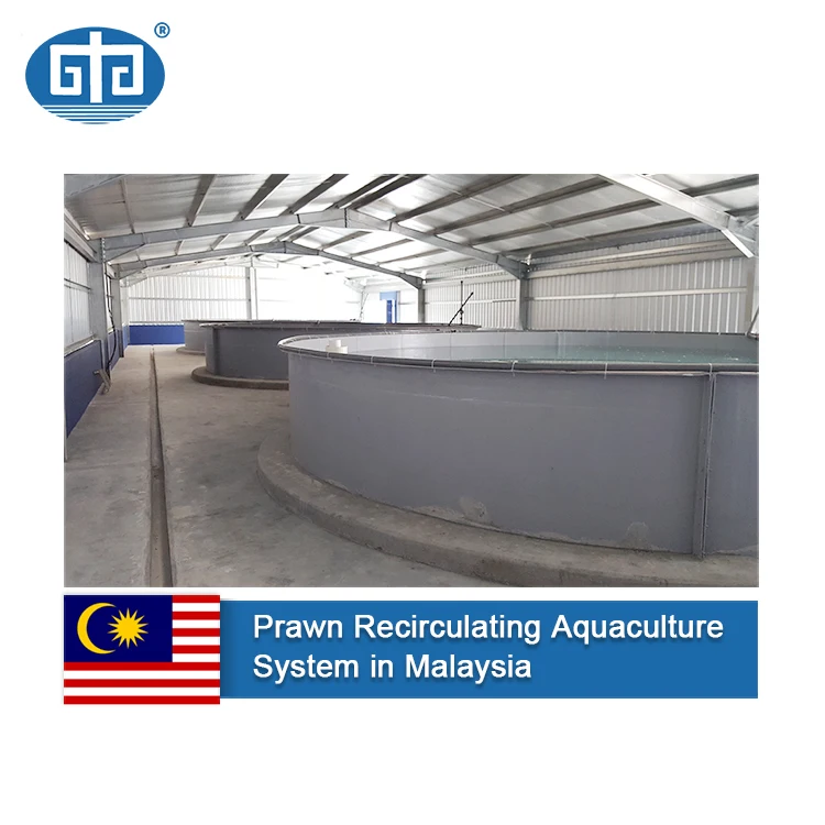 Fish Medicine Malaysia Aquaculture Water Treatment 3 Little Fish