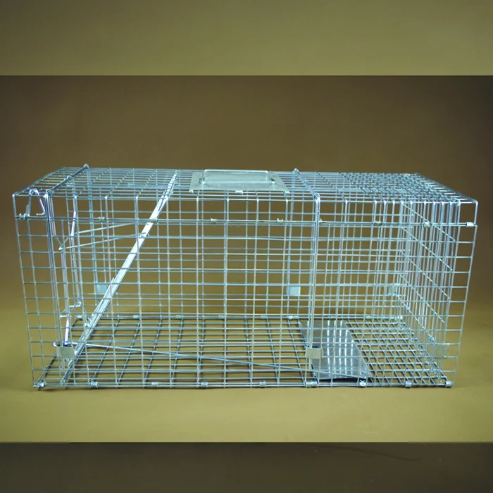 Best Seller Liebang Metal Live Animal Cage Traps For Rabbits Cats Rat