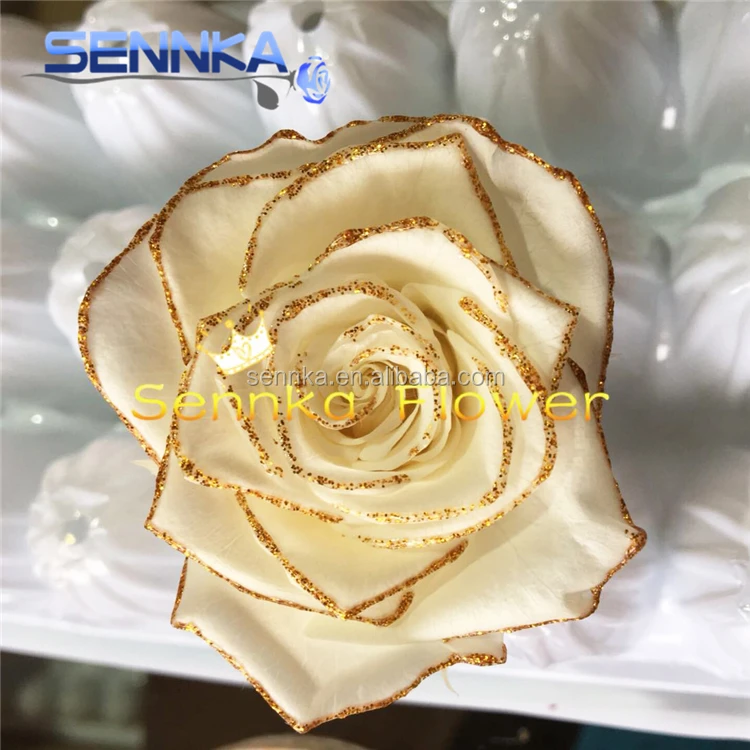 Preserved Roses Real Natural Preserved Gold Roses Flower Selling In