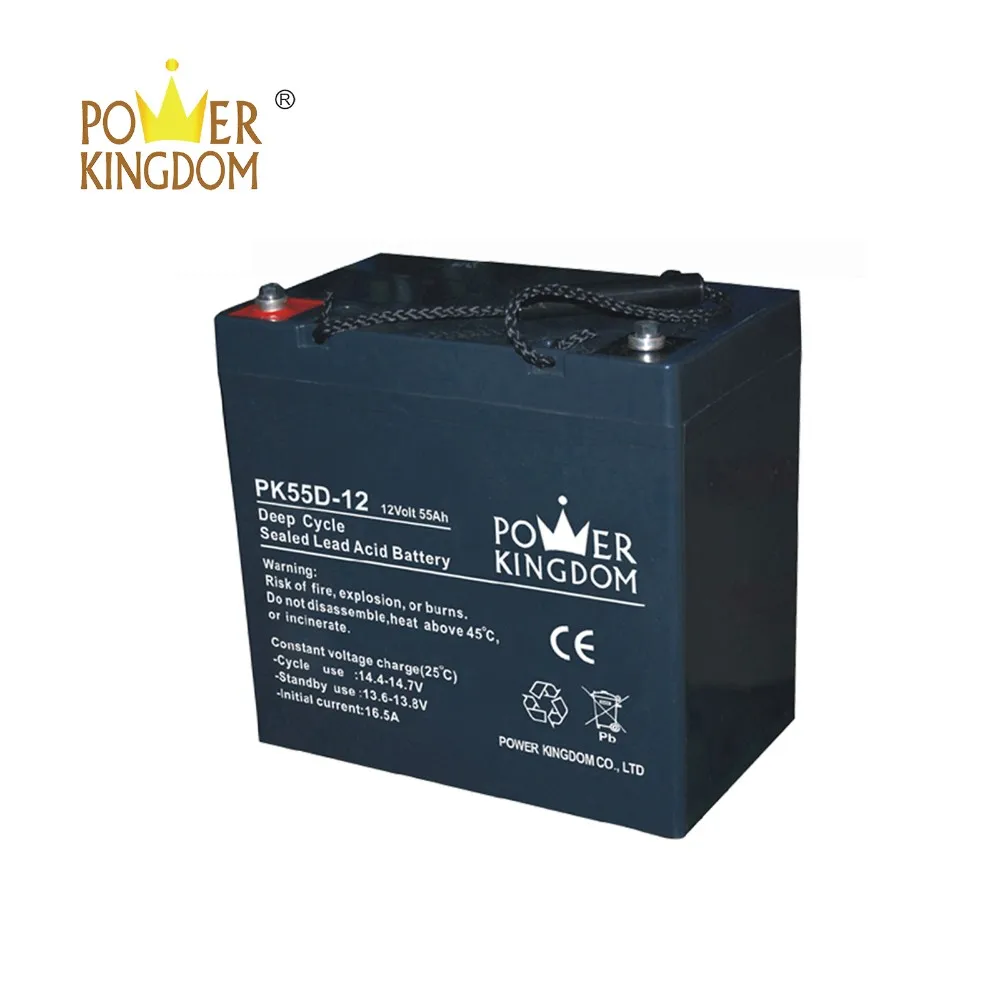Power Kingdom 100ah gel battery Supply solar and wind power system-2