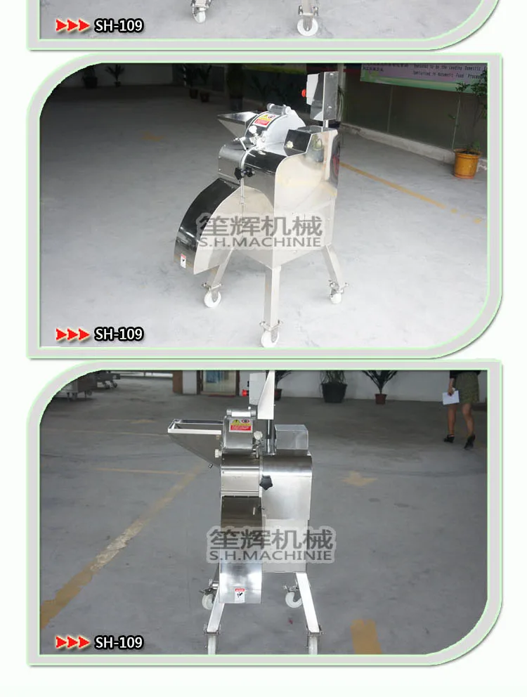 Seedless Watermelon Dicer Dicing Machine Cherry Tomatoes Raspberry