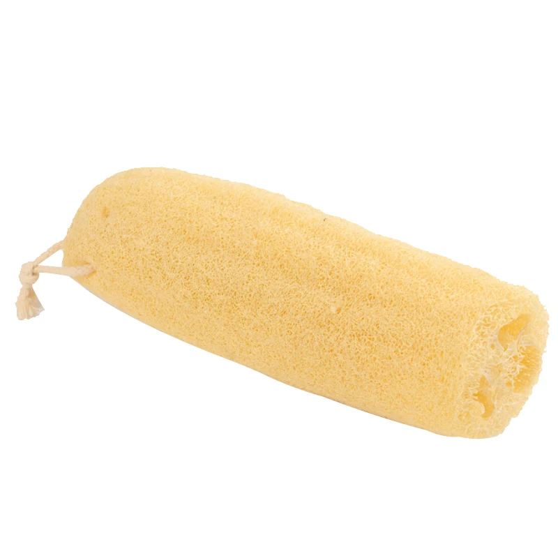 loofah sponge (3).jpg