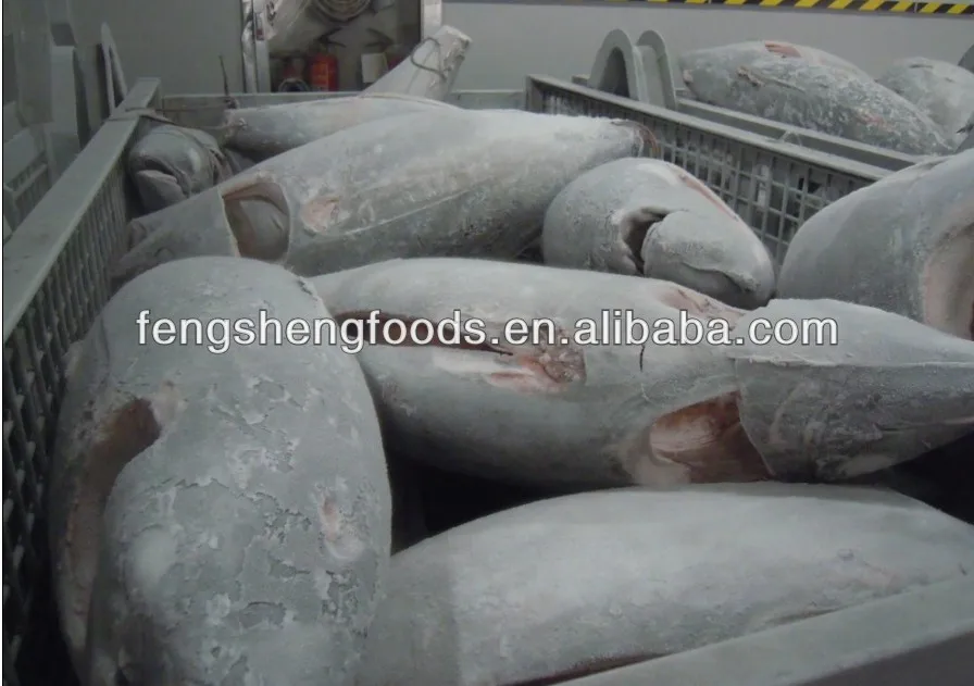 sashimi grade 2frozen bigeye tuna seafood.jpg