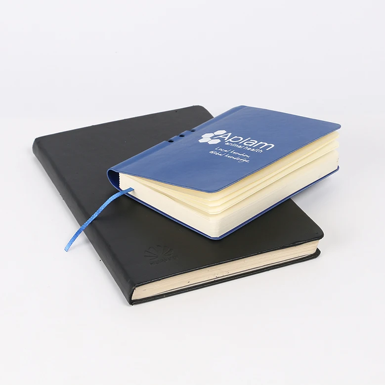 School Diary