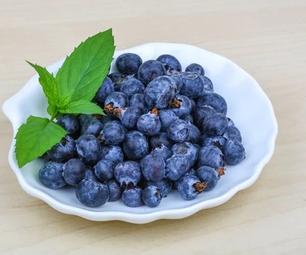 pure natural blueberry extract/bilberry extract, green healthy