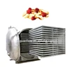 China industrial food and vegetable fruit vacuum freeze drying machine