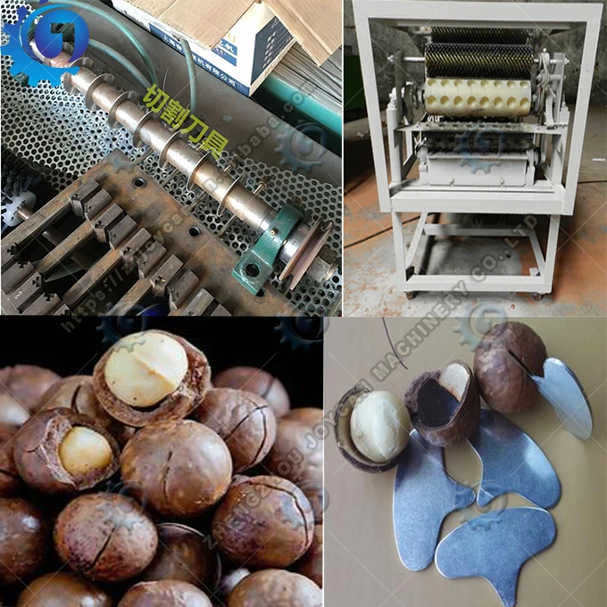 High Efficiency Macadamia Crackermacadania Nuts Processing Machine For