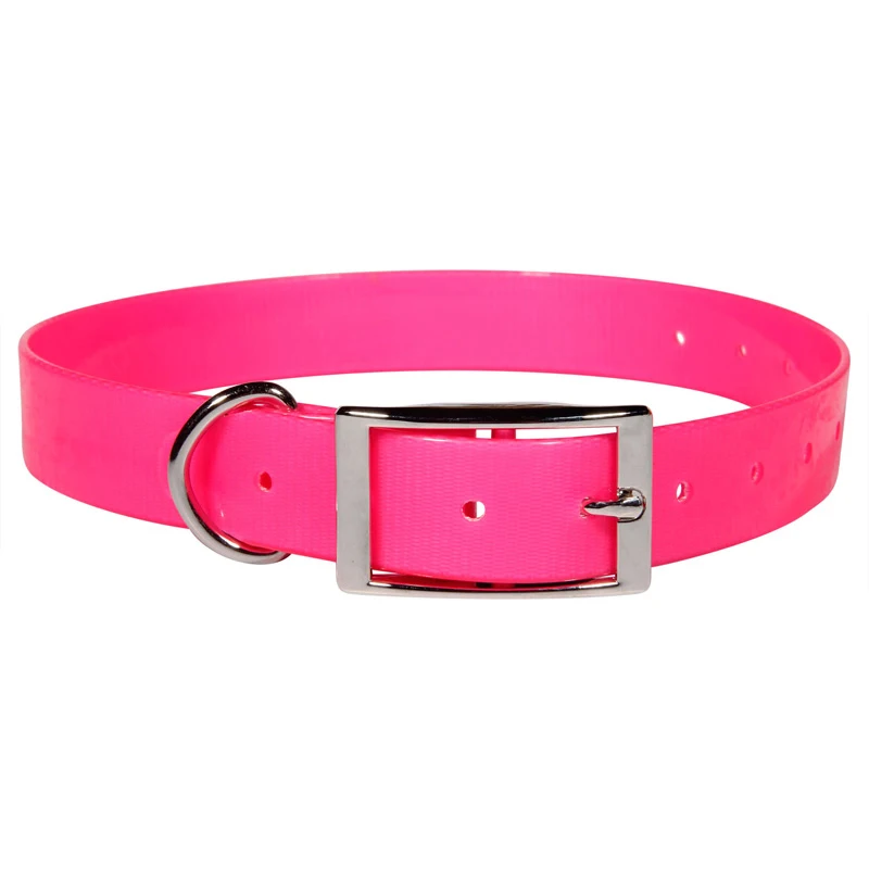

waterproof hunting collars zinc alloy buckle TPU pet dog collar