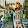 Automatic Stacking Machine Carton, Pallet Robot for Cartons and Bag Stacking
