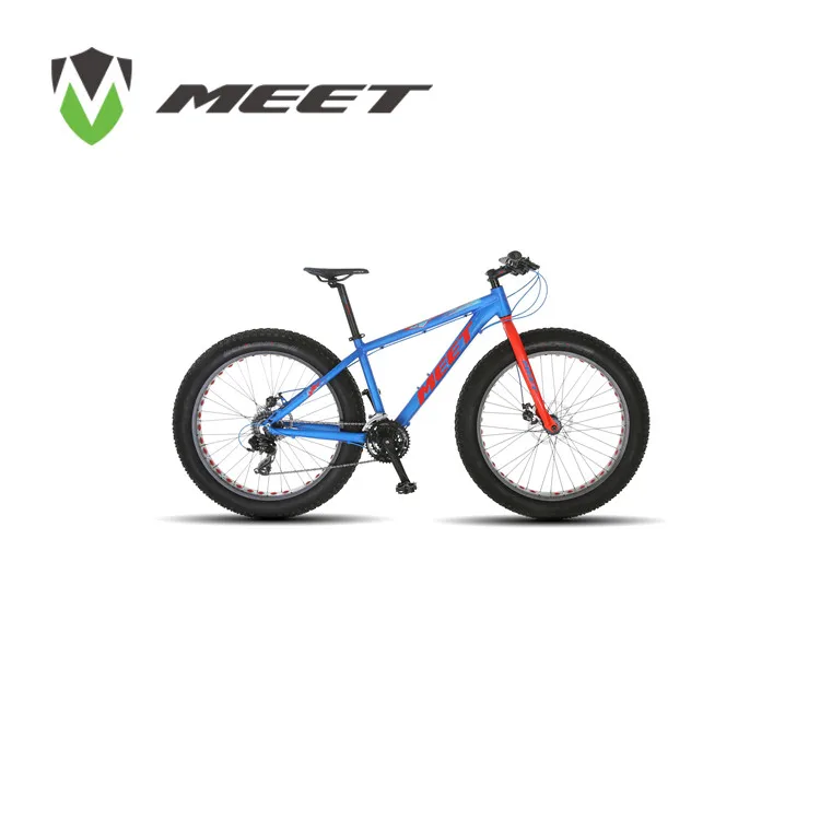 fat bike 29 inch