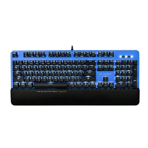 European Wired Keyboard Computers