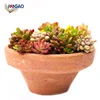 Custom cute shand pull blank wide mouth breathable wholesale ready home container garden decor ceramic flower succulent pot