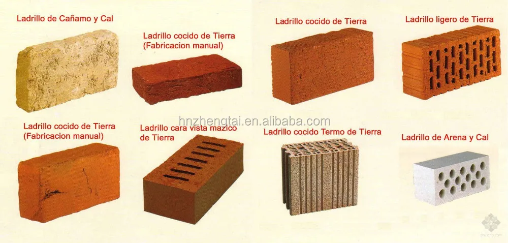timg9