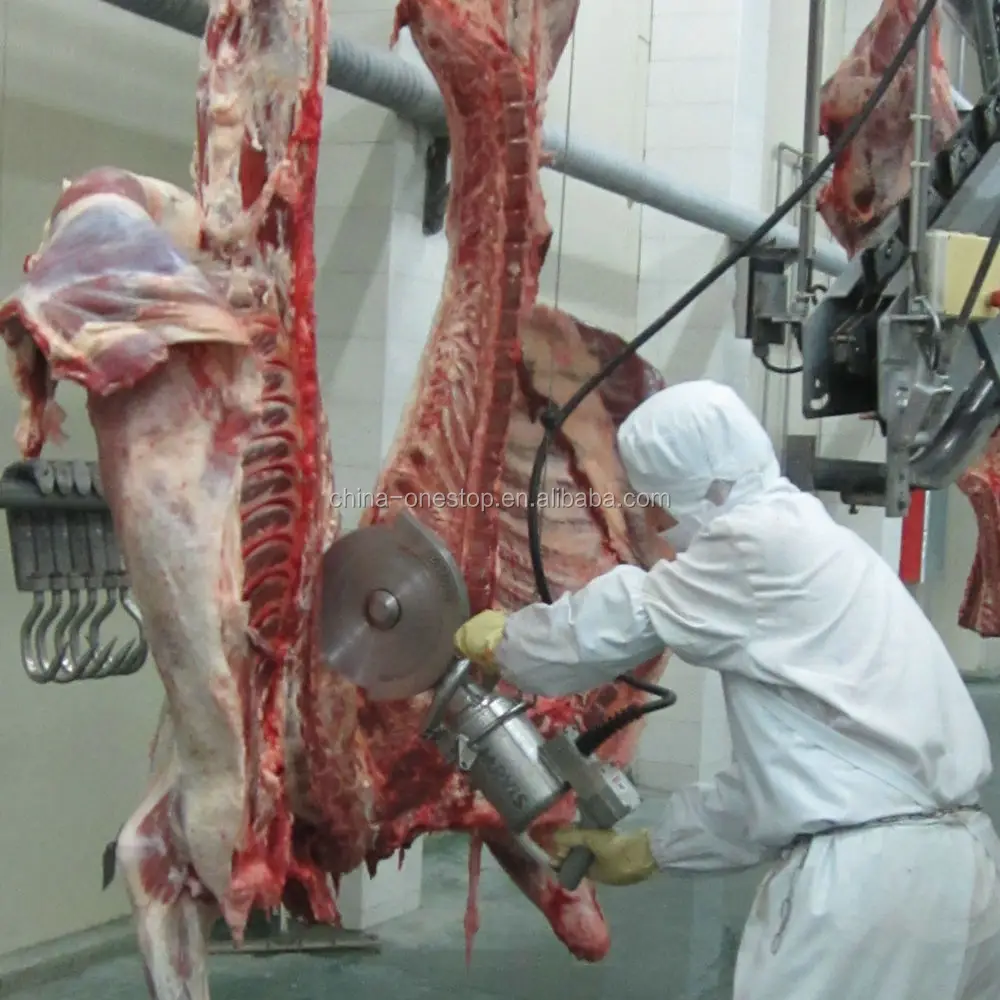 Camel mobile slaughterhouse small capacity slaughtering