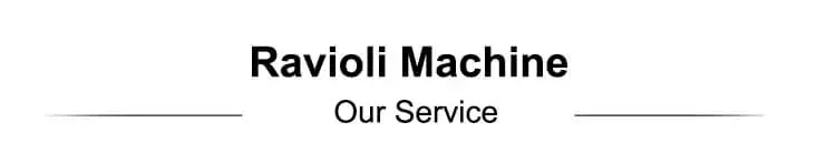 Professional Ravioli Machine QJ in china