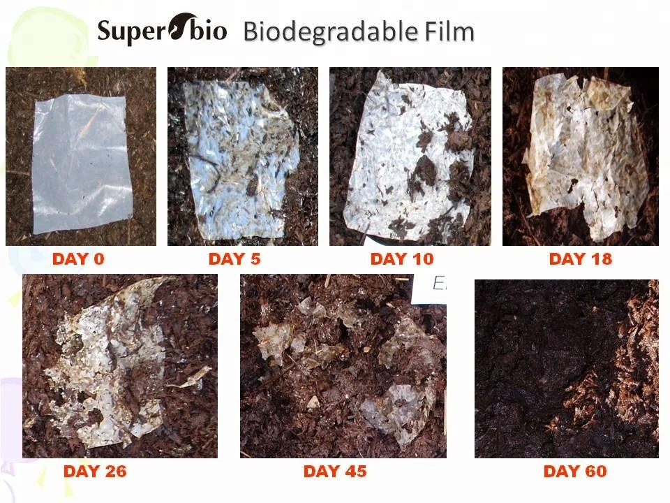 
Custom PLA Biodegradable T-shirt Shopping Bags Compostable Grocery Bag With Top Quality 