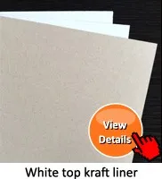 8 related products 3.jpg