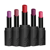 

High quality custom logo long lasting waterproof lipstick matte