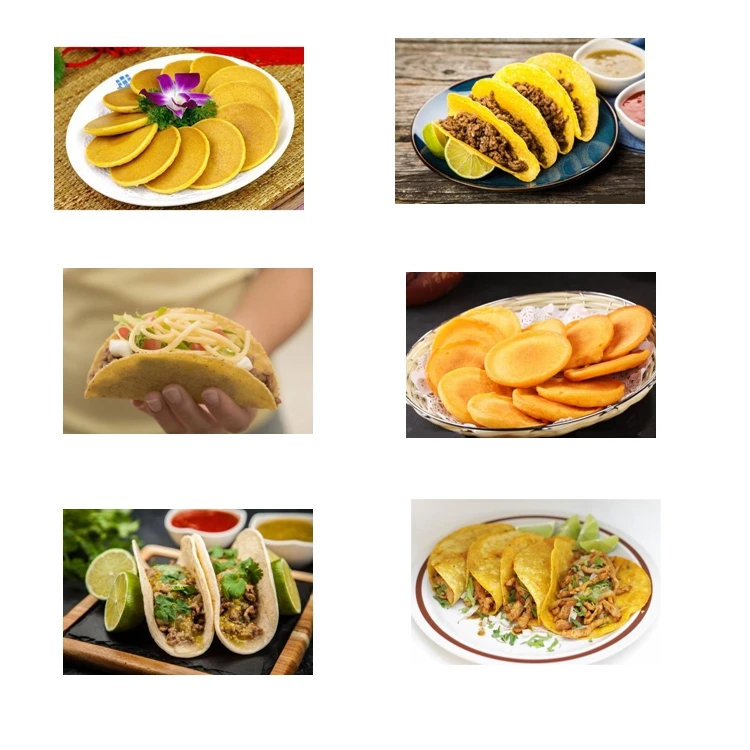 taco tortilla machine