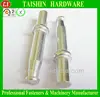 Special Steel Flat Head Hit Pin Type Fasteners with Round Washer
