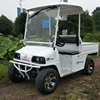 /product-detail/chinese-2-passengers-electric-4x4-utility-vehicle-62055957621.html