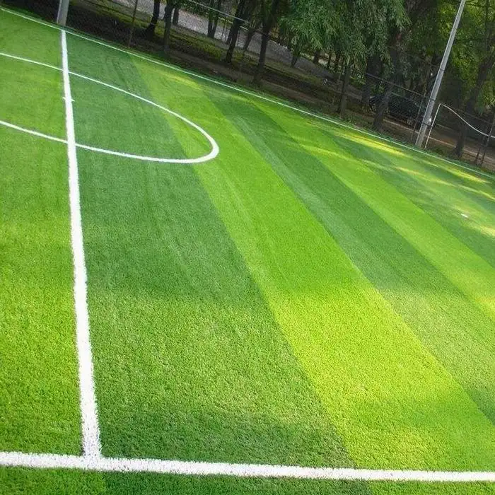 

Customized soccer sport fields synthetic carpet artificial grass for football stadium, Bi colors artificial grass