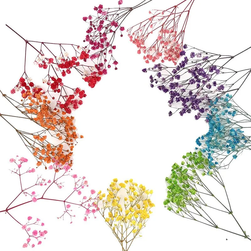 Preserved Flower Baby Breath,Preserved Gypsophila For Home Decoration