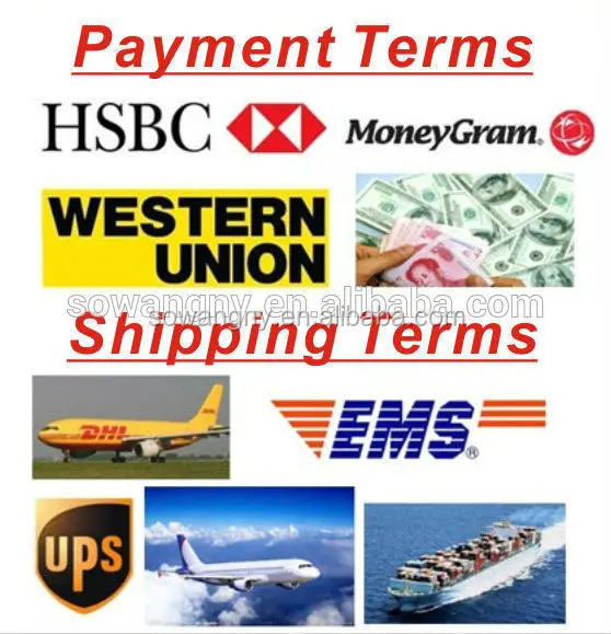 HTB1OAe2IpXXXXbrXXXXq6xXFXXXh