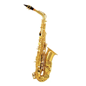 Wholesale Price woodwind instrument Golden Lacquer Alto Saxophone With ABS Case