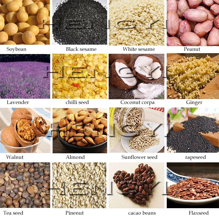 Basil Oil Extract Machine,Cold Press Oil Seed Machine,Algae Oil