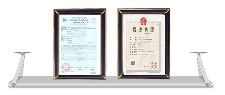 Preserved Natural Flowers Stems