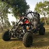 150cc -250cc 4WD ATV/UTV/SIDE X SIDE/BUGGY/quad/dune buggy/mini suv/smart car w EEC, EPA, side doors